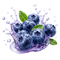 Blueberry