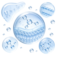 Ceramides + Hyaluronic Acid