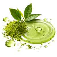Matcha Tea Extract