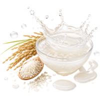 Rice Water Extract