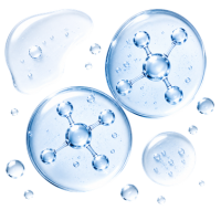 Salicylic Acid + Niacinamide